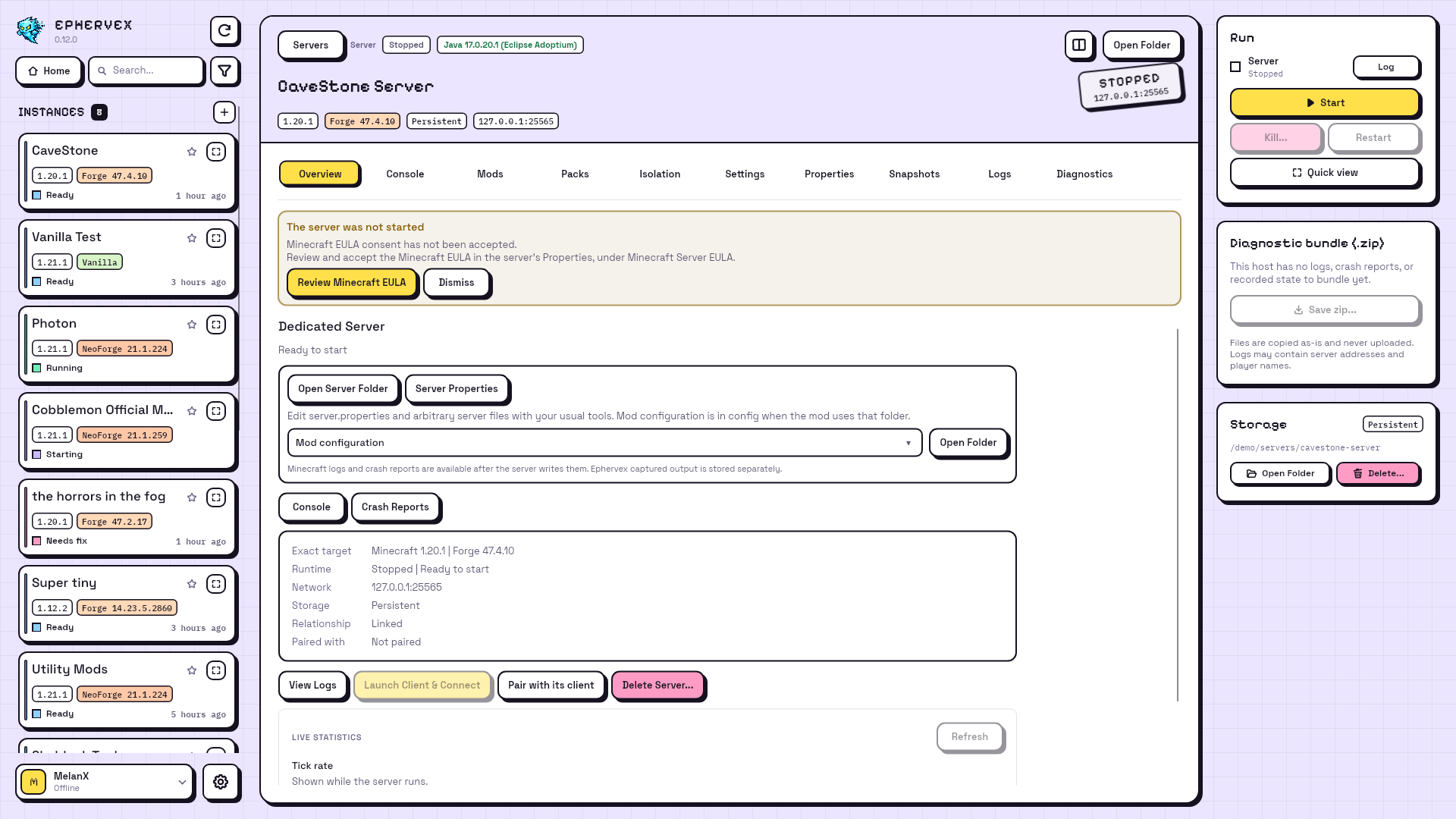 Server overview with The server was not started, Review Minecraft EULA, and Dismiss